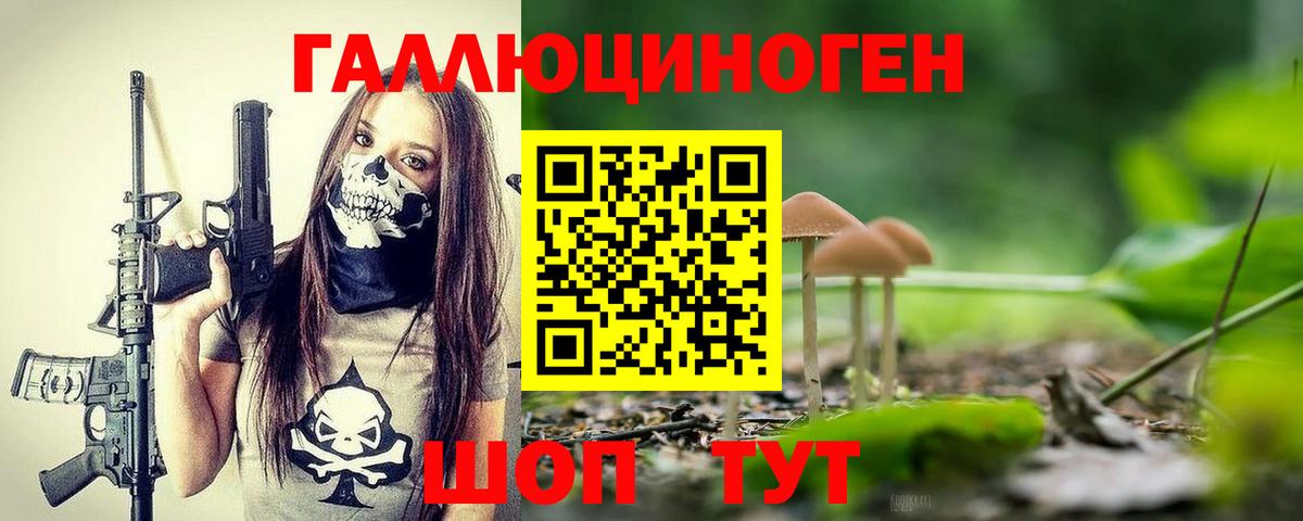 Галлюциногенные грибы GOLDEN TEACHER Ковров