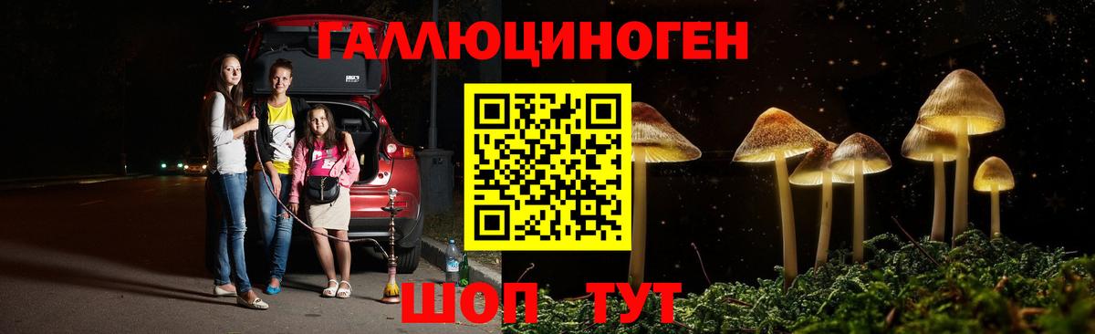 Ковров  Псилоцибиновые грибы Psilocybe  Псилоцибиновые грибы Psilocybe  Вход с VPN 
